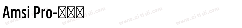 Amsi Pro字体转换